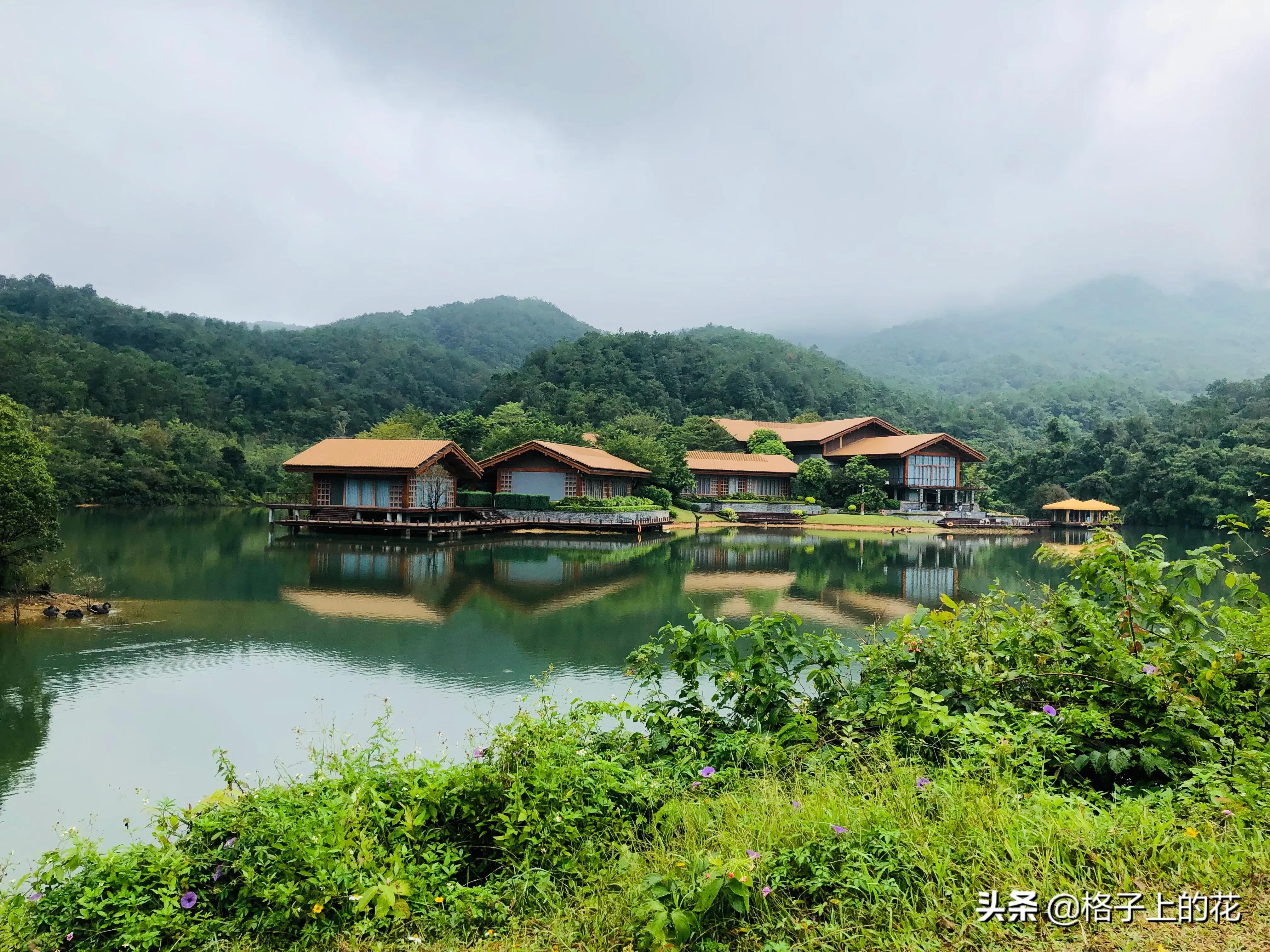 领导带着我们去爬惠州罗浮山，一行人花费超过千元。这风景确实美