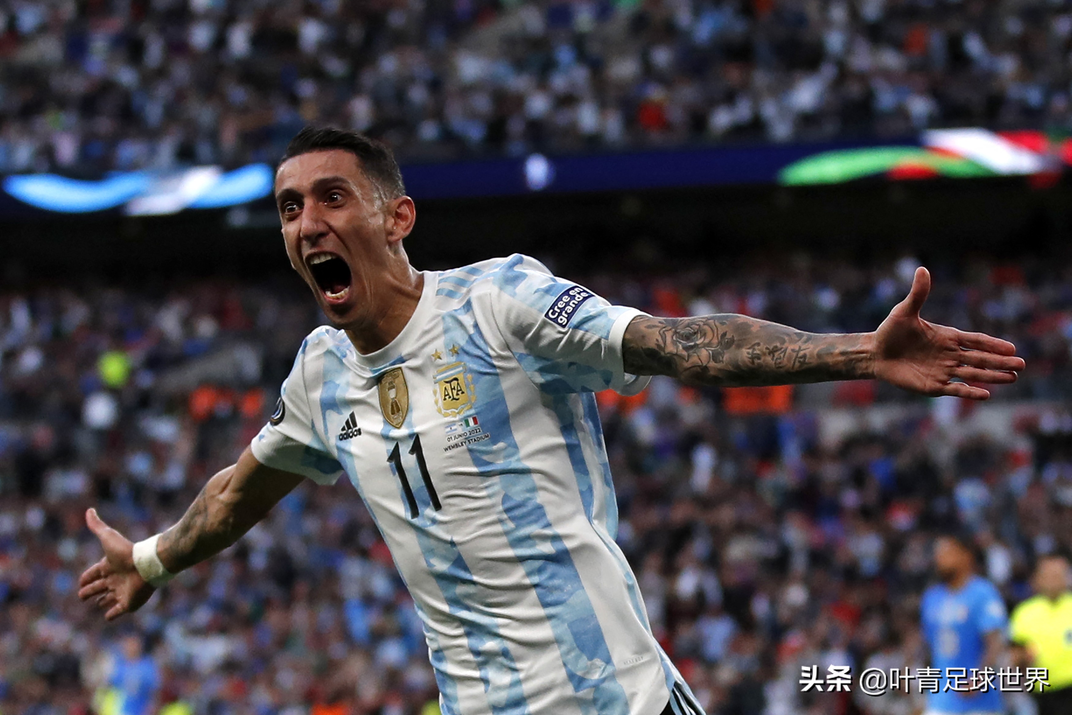 阿根廷足球照片(3-0,阿根廷夺冠!