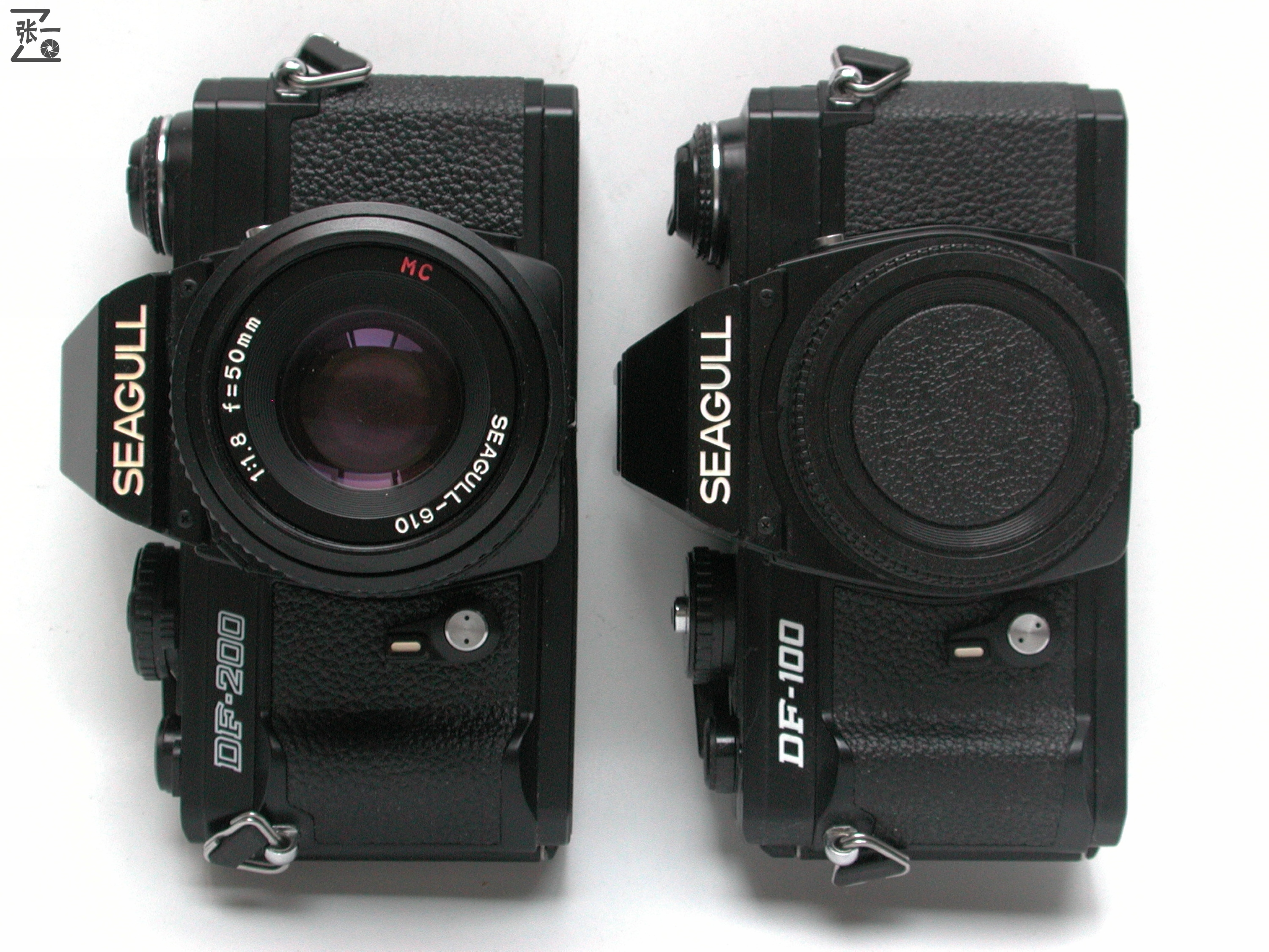 海鸥df2评测(海鸥df2什么卡口)_友友