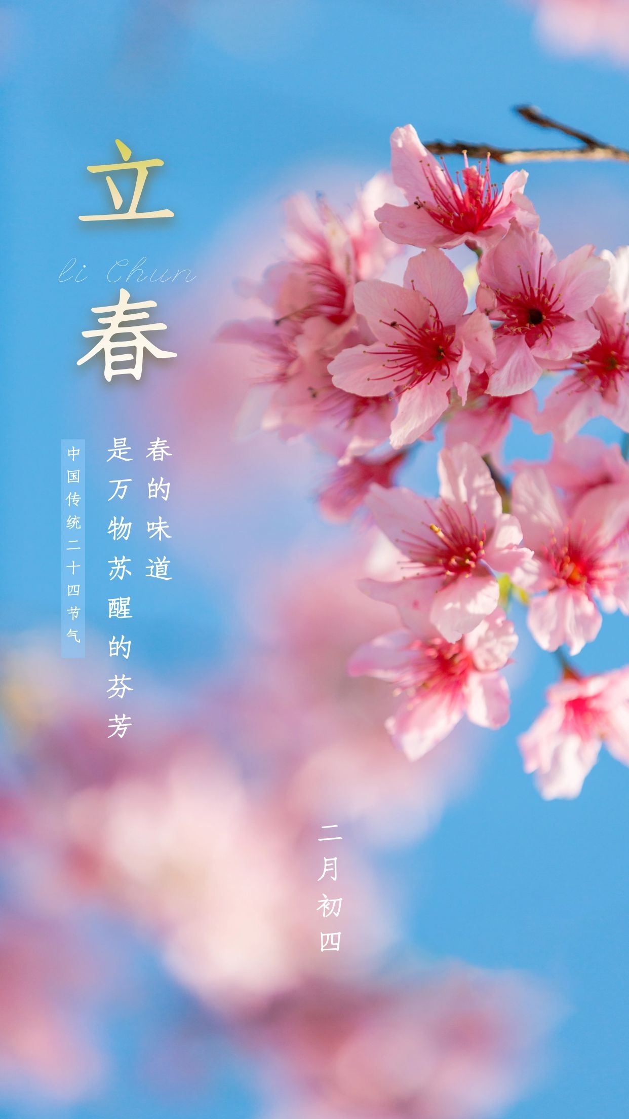 立春图片配图高清唯美无水印,适合立春发朋友圈的文案短句子