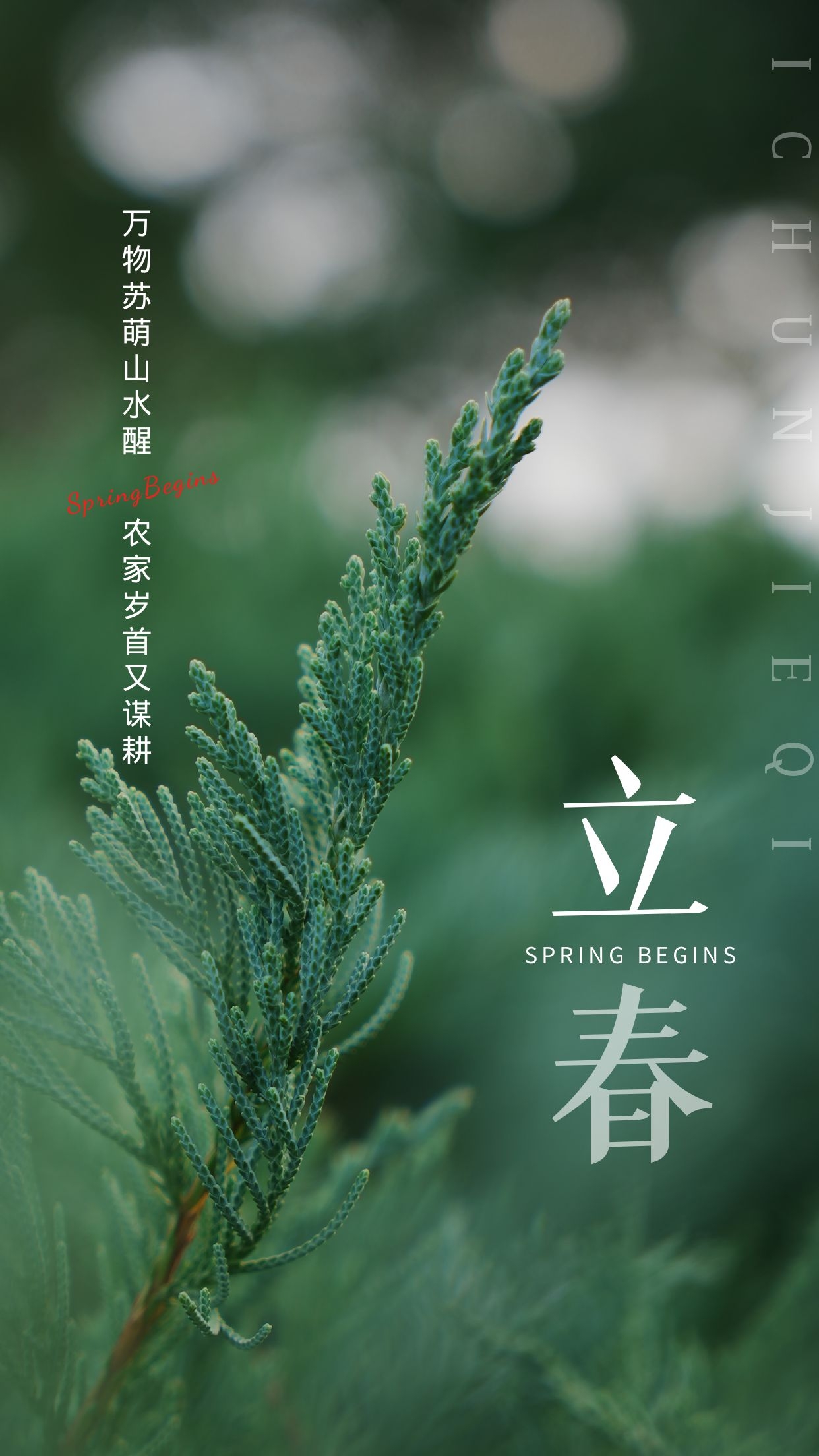 立春图片配图高清唯美无水印,适合立春发朋友圈的文案短句子