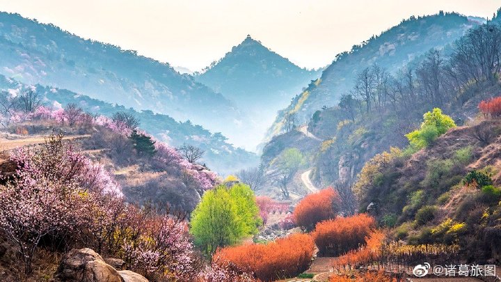 香山诗人作品欣赏——春