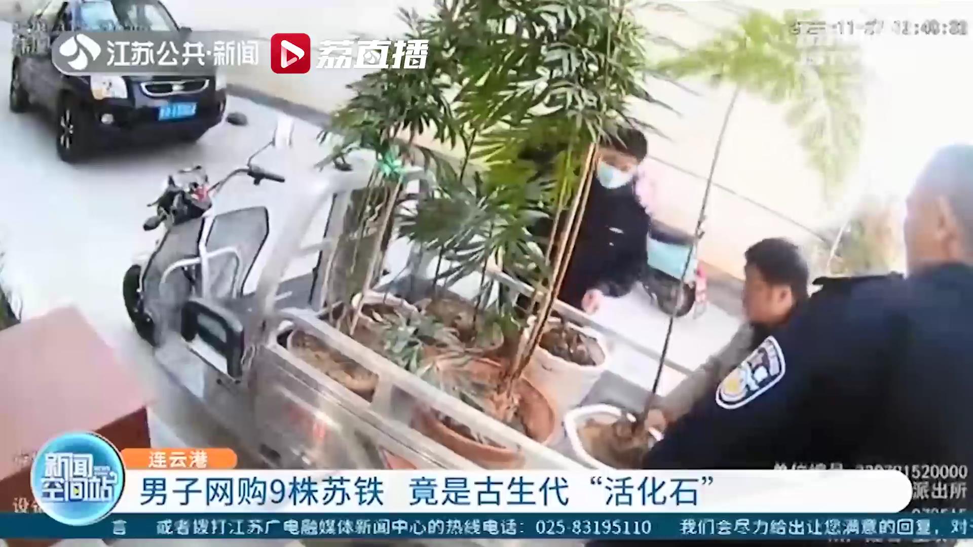 危害国家重点保护植物！网购9株被称为&ldquo;活化石&rdquo;的苏铁 连云港一男子被取保候审