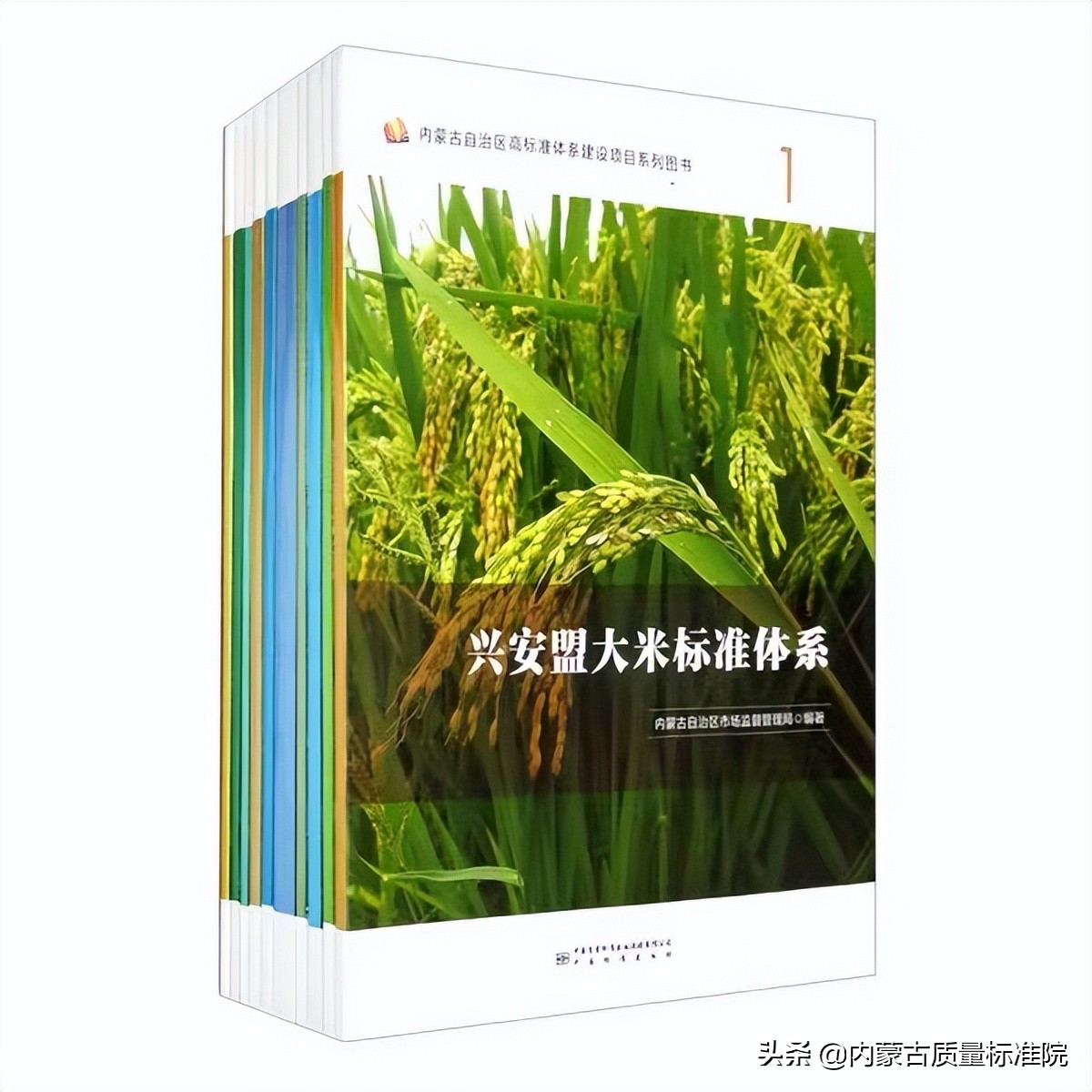 世界读书日 | 人间最美四“阅”天，不负春光与书伴