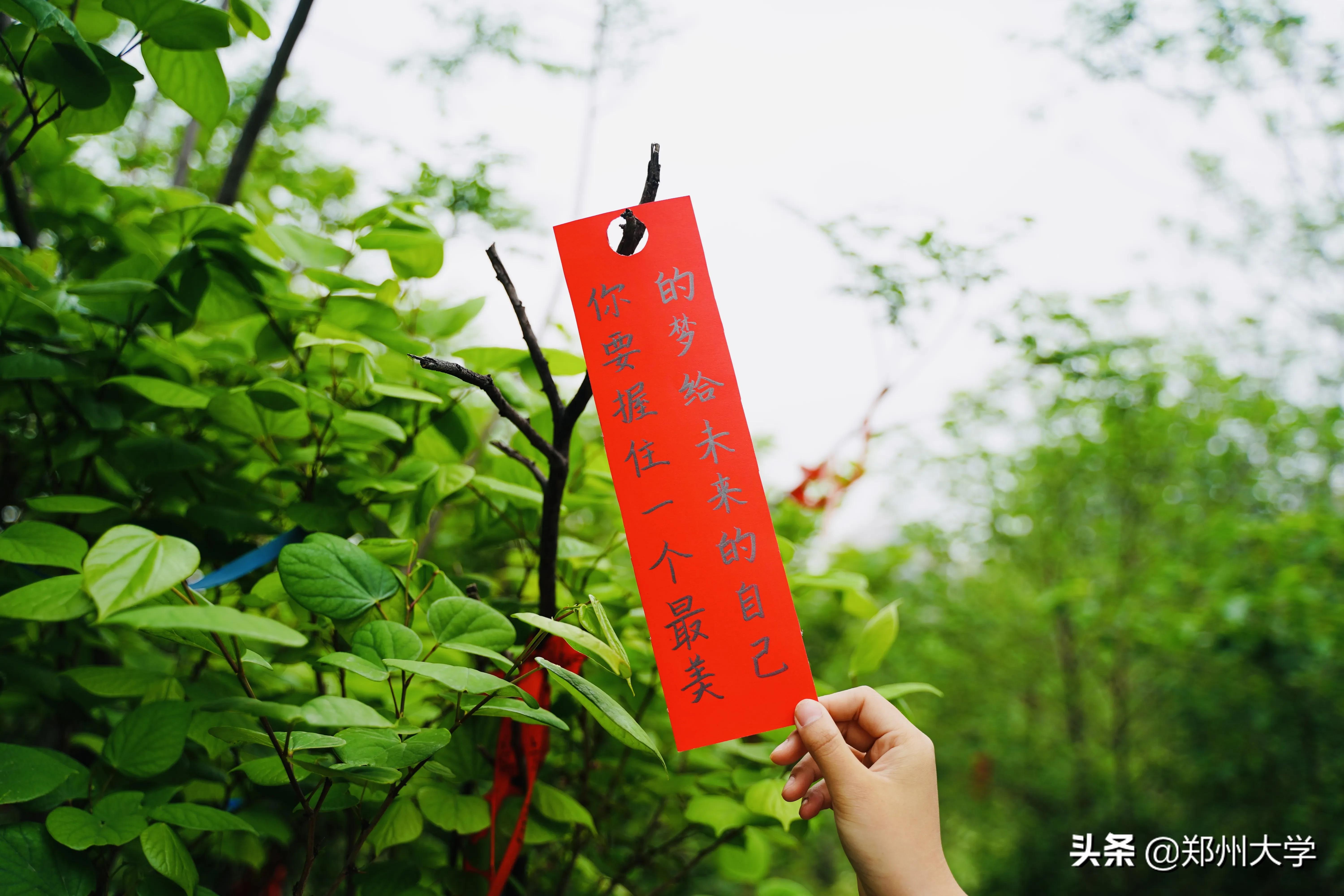 高考倒计时50天！请收下来自郑大厚山的祝福！