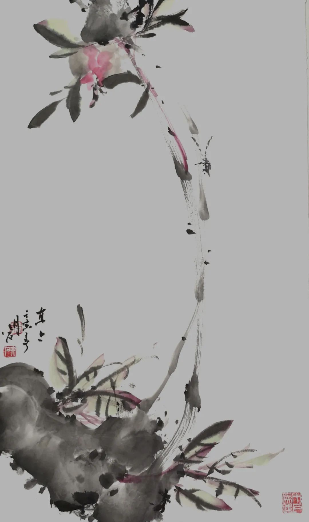 杨磊磊 国画牡丹作品赏析