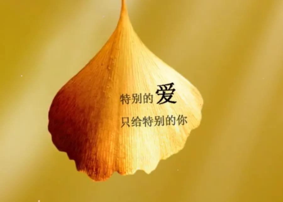 心一动，思念便在心中川流不息；想你，好想去你的身边陪你