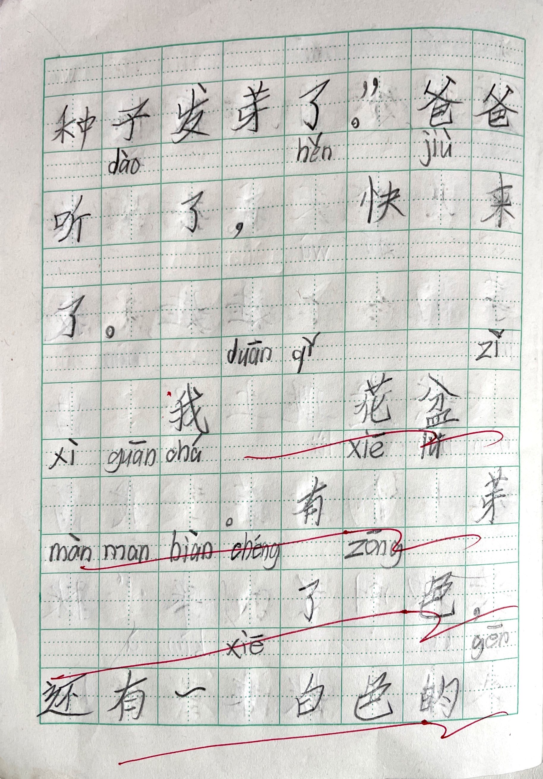 植物生长观察日记（2）