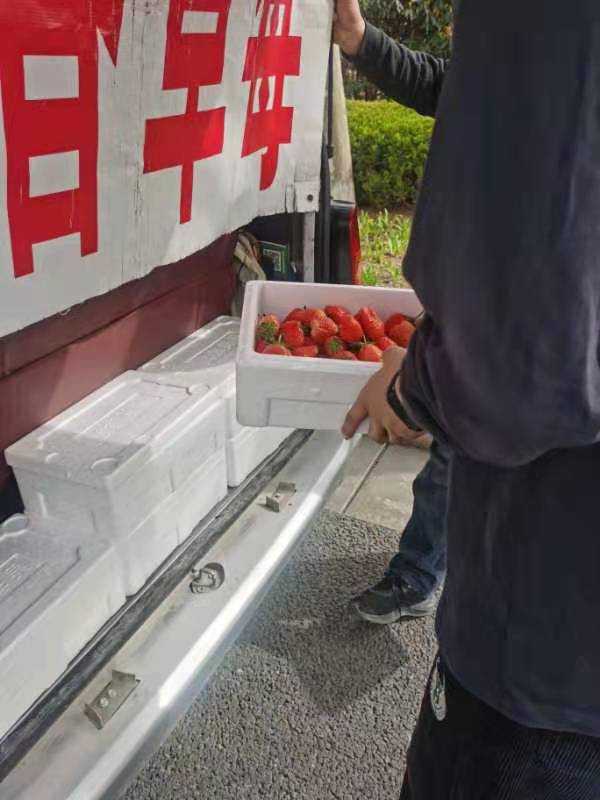 5斤多草莓实际仅3斤！5家有4家严重缺斤少两！记者暗访郑开大道旁草莓商户