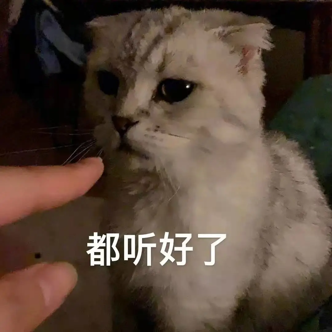 回家途中退票指南：汽车票退款流程详解