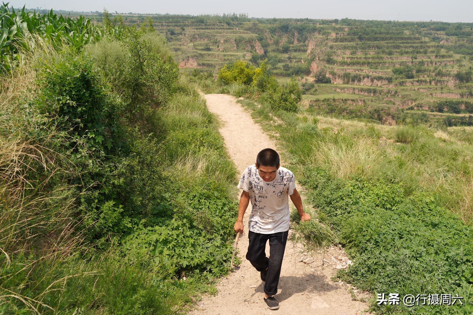 养兔子赚钱吗,养兔子赚钱吗利润高吗