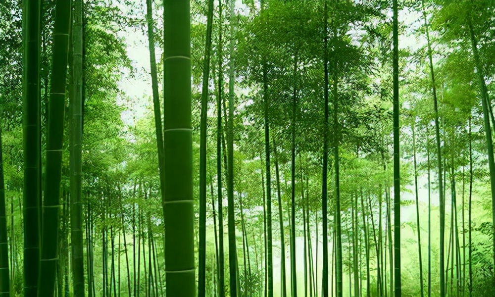 10大最励志的诗篇排名，每首都很经典，哪首能排名第一？
