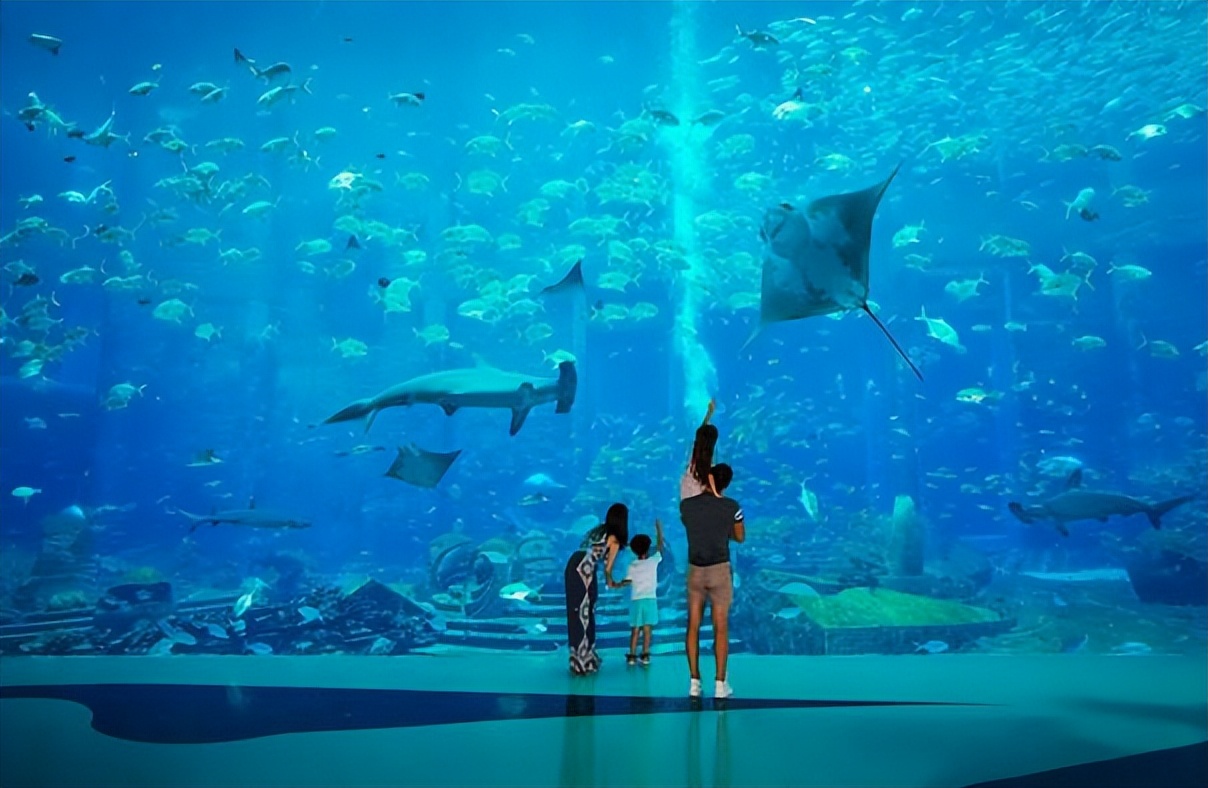 亚特兰蒂斯失落的空间水族馆门票价格、表演时间、游玩项目