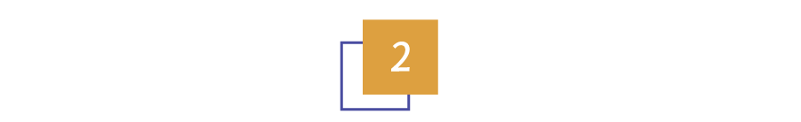 好莱坞猛女也太狂了吧！40岁养30只老虎，骑着狮子去上班…