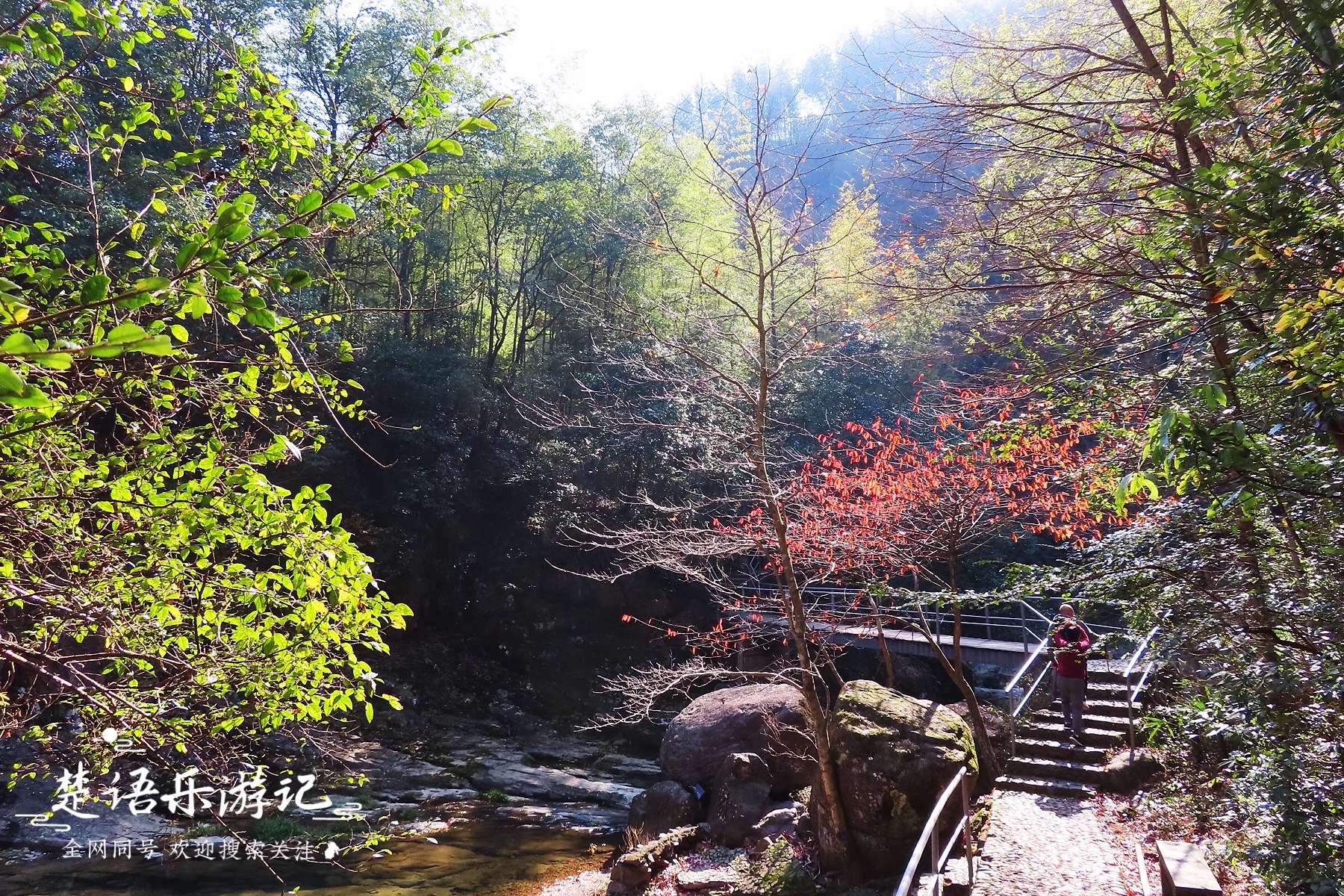 四明山哪个地方好玩（浙江四明山有一条奇美峡谷，藏在深山却游人众多，依然如世外桃源）