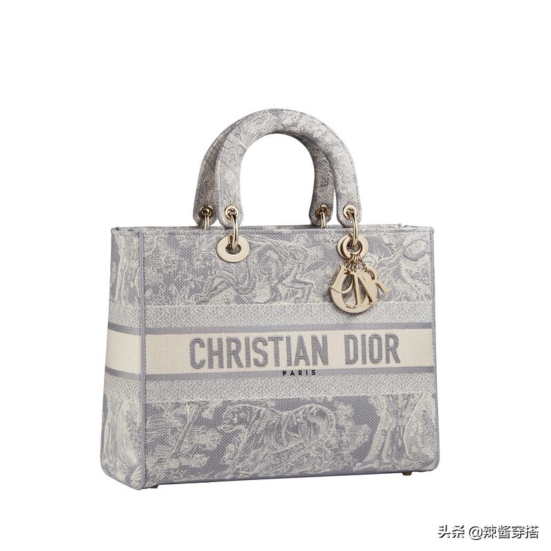 Dior Saddle、Book Tote到最新Micro Bag，一定要认识的5大经典包