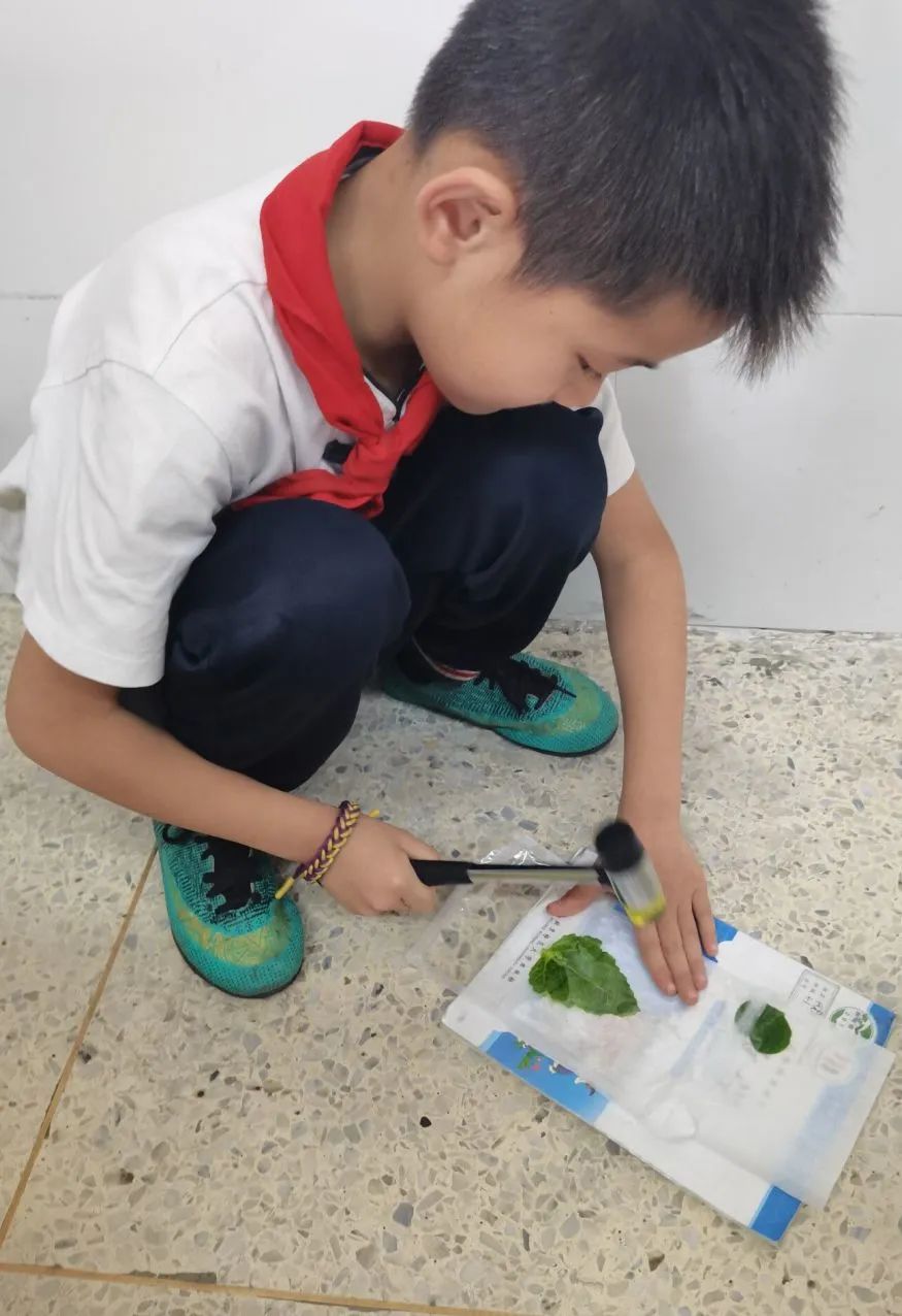 成都高新区朝阳小学深入开展二十四节气之小满有关活动