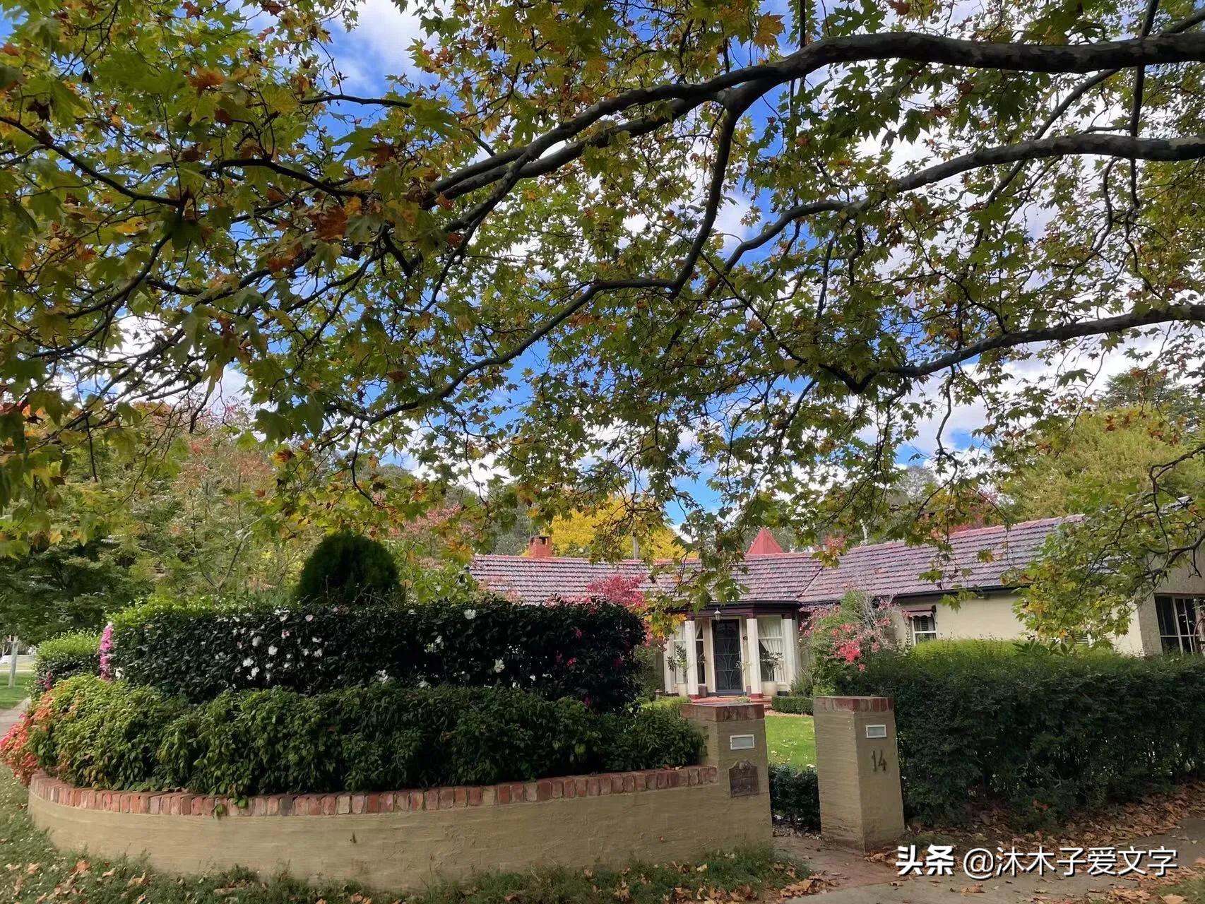 现在做自媒体来得及吗？请记住：创作最大的受益者是创作者自己