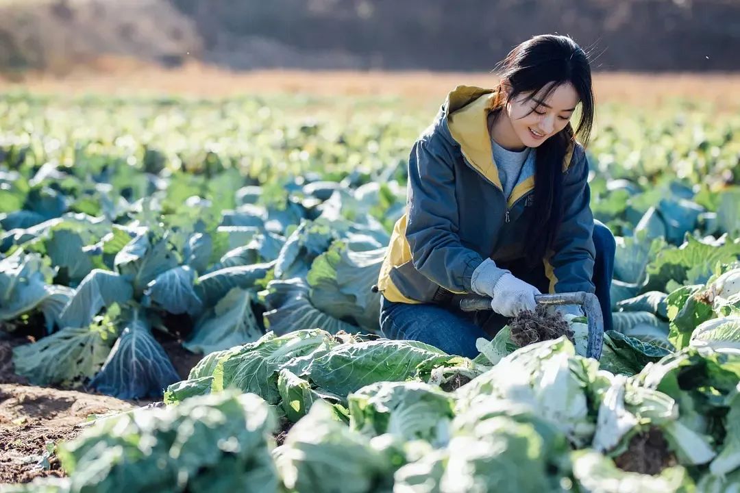 《幸福到万家》：赵丽颖，我庆幸你是个坏女孩