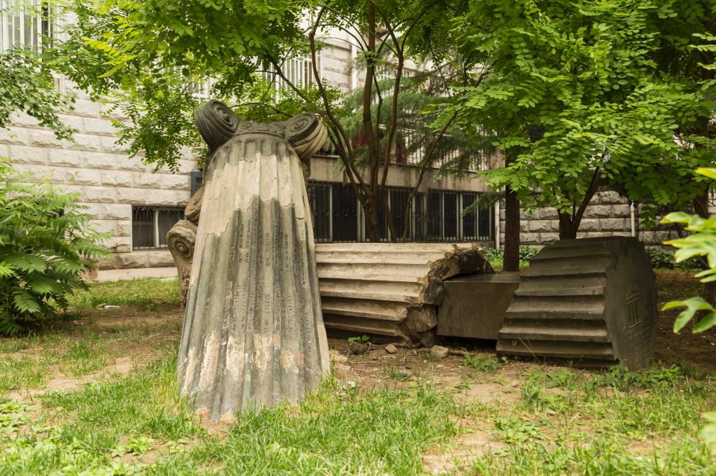 规模最小的美院，天津美院毕业生最好自由职业，就业首选北上广