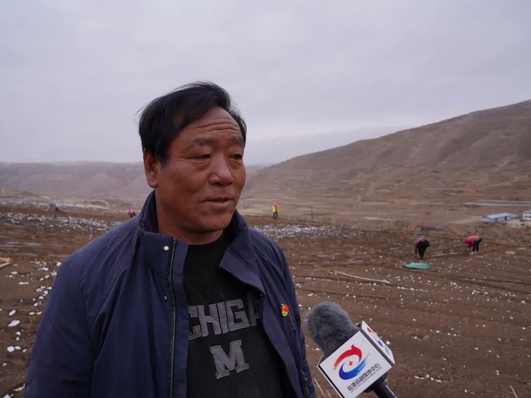 【启航新征程 建功新时代】临潭：特色产业提升乡村振兴“含金量”