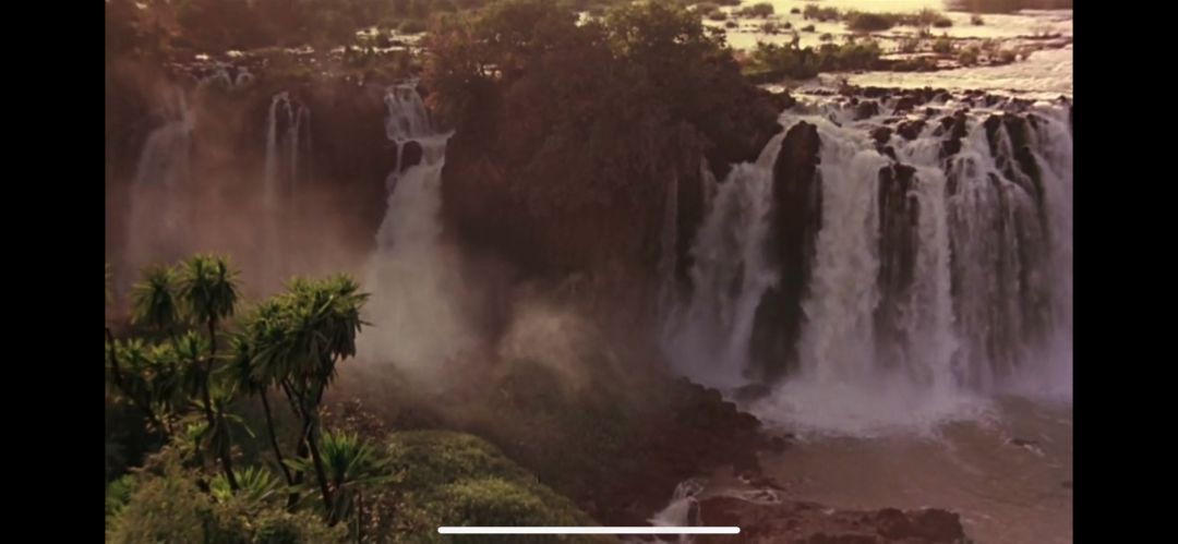 电影《小公主》：哪个女孩不是公主呢？