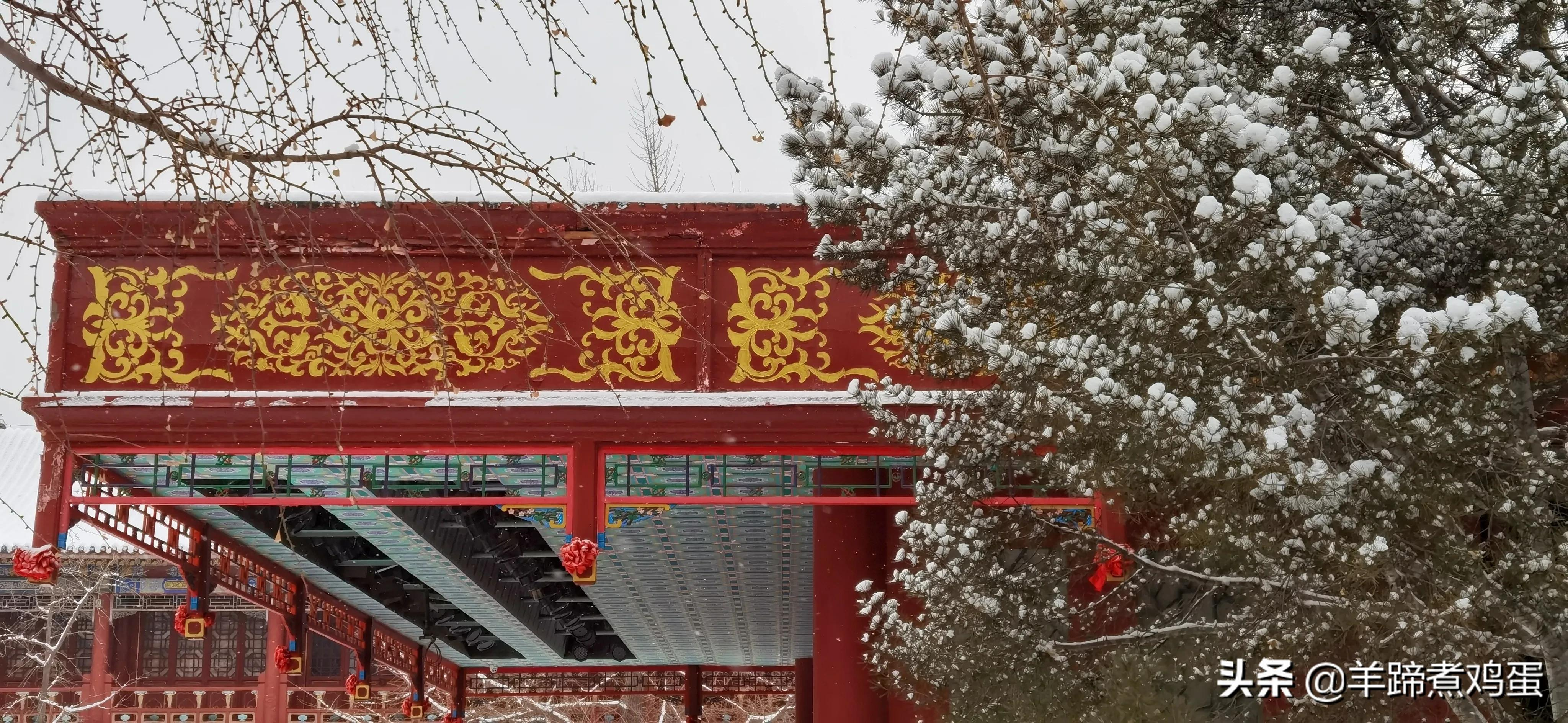 难览观园全画景雪覆腊梅一隅香——踏雪寻游北京大观园