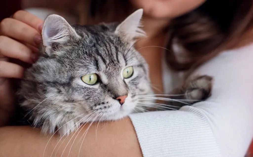 618年轻人的花钱喜好，早就被京东摸透了