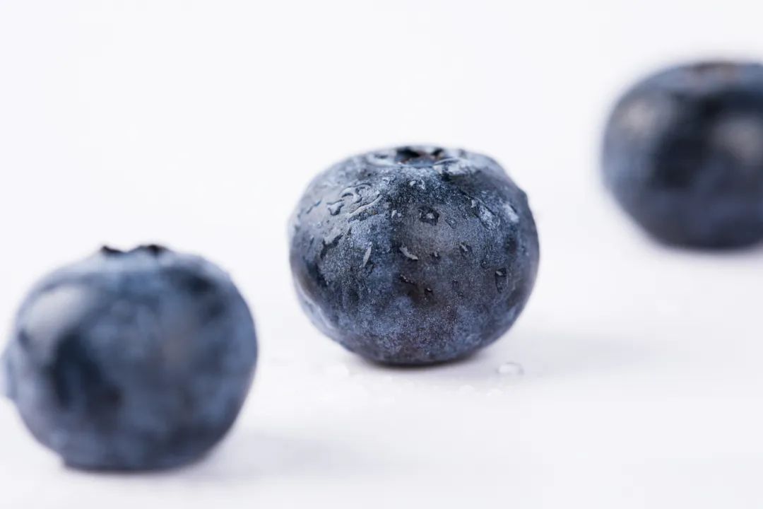 蓝莓用不用洗（知识科普新鲜蓝莓的2个正确清洗方法）