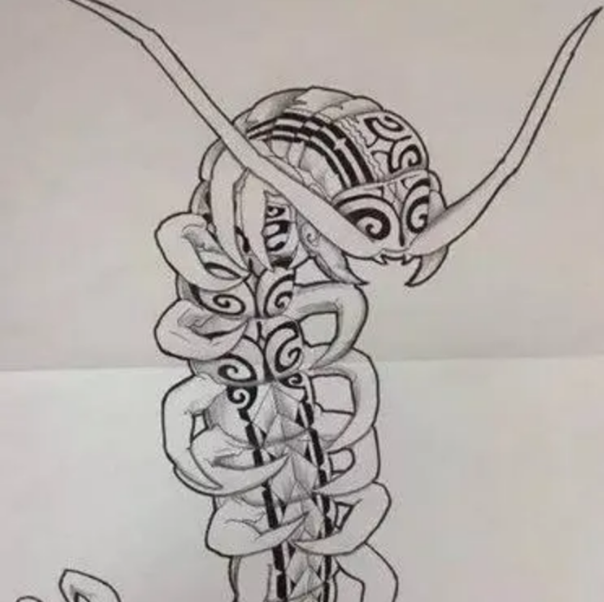 蛊有蛇蛊,蜥蜴蛊,蜈蚣蛊, 金蚕盔.种类不一,持以中人,无不立死.