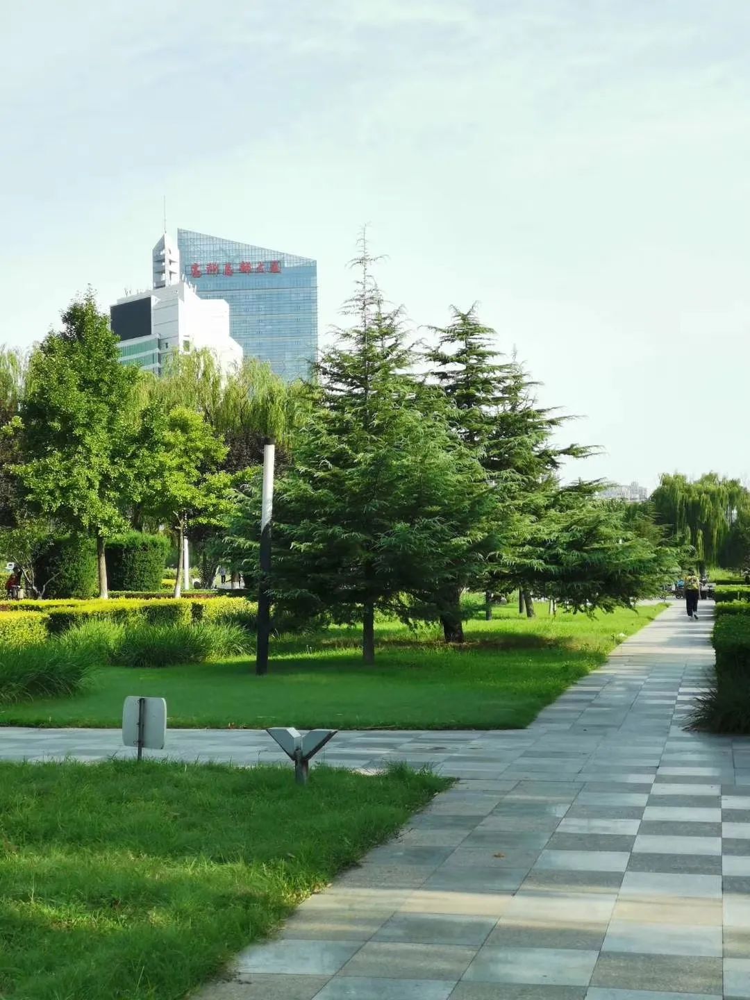 董虎艇文学作品：这一刻，我想说