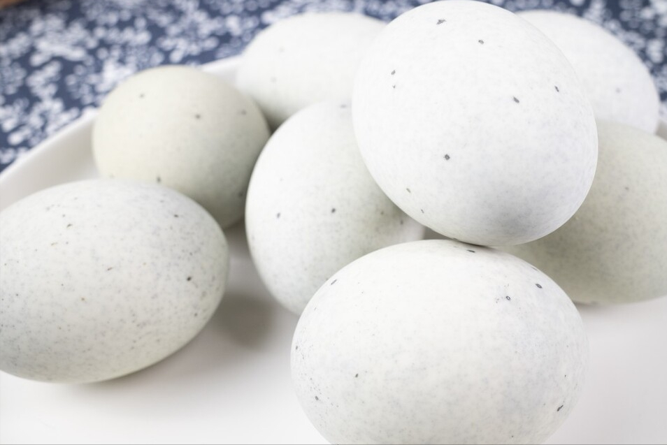 凉拌皮蛋，调料是关键，切记多放3味料，不腥不发涩，鲜美好吃