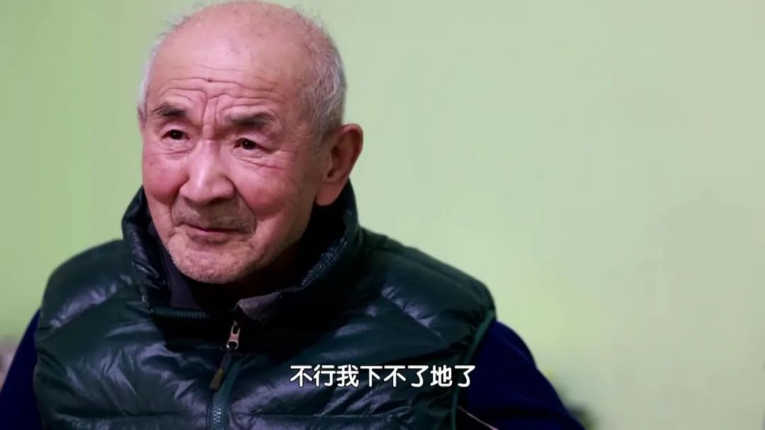 雜食者長壽！22種食材的雜糧豆漿，營養均衡，長壽老人每天都喝