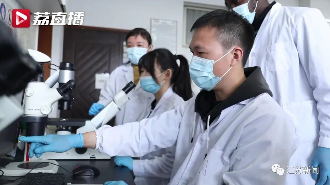 20年坚守三代人奋斗，这群&ldquo;最懂梅花的人&rdquo;，终于开出最美的花