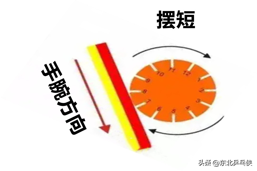 乒乓球逆旋转球怎么接（乒乓球“旋转球”难接？只要读懂这四种旋转，接发球从此不再难）