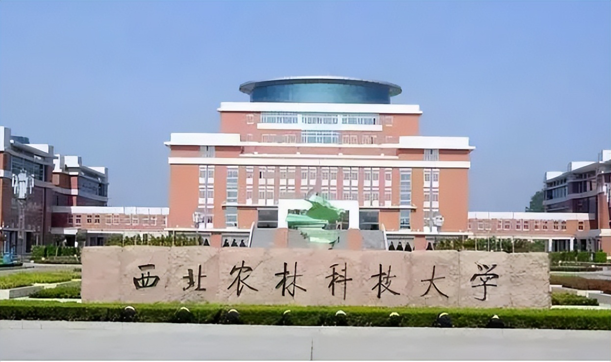 性价比超高的3所985，录取分数不算高，但就业优势却很明显