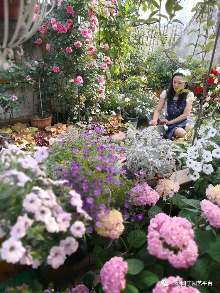 园丁奖花园组《002号》不离不弃,芳龄永继