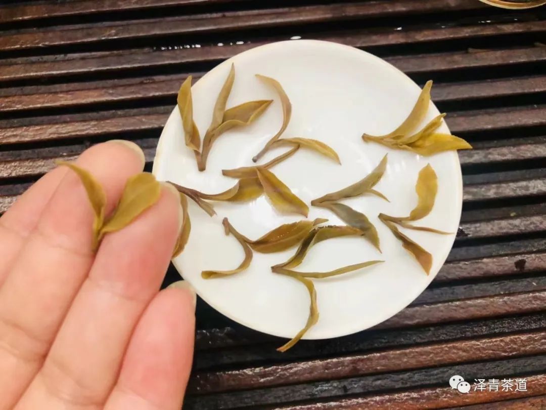 评价茶叶的专业术语(教你喝茶的100个专业术语)