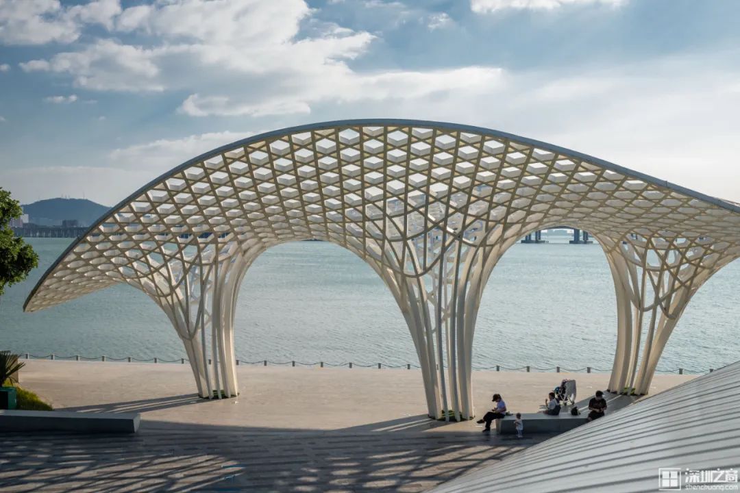 深圳马拉松（深圳资深全马跑者：跑步没有意义，为跑而跑）