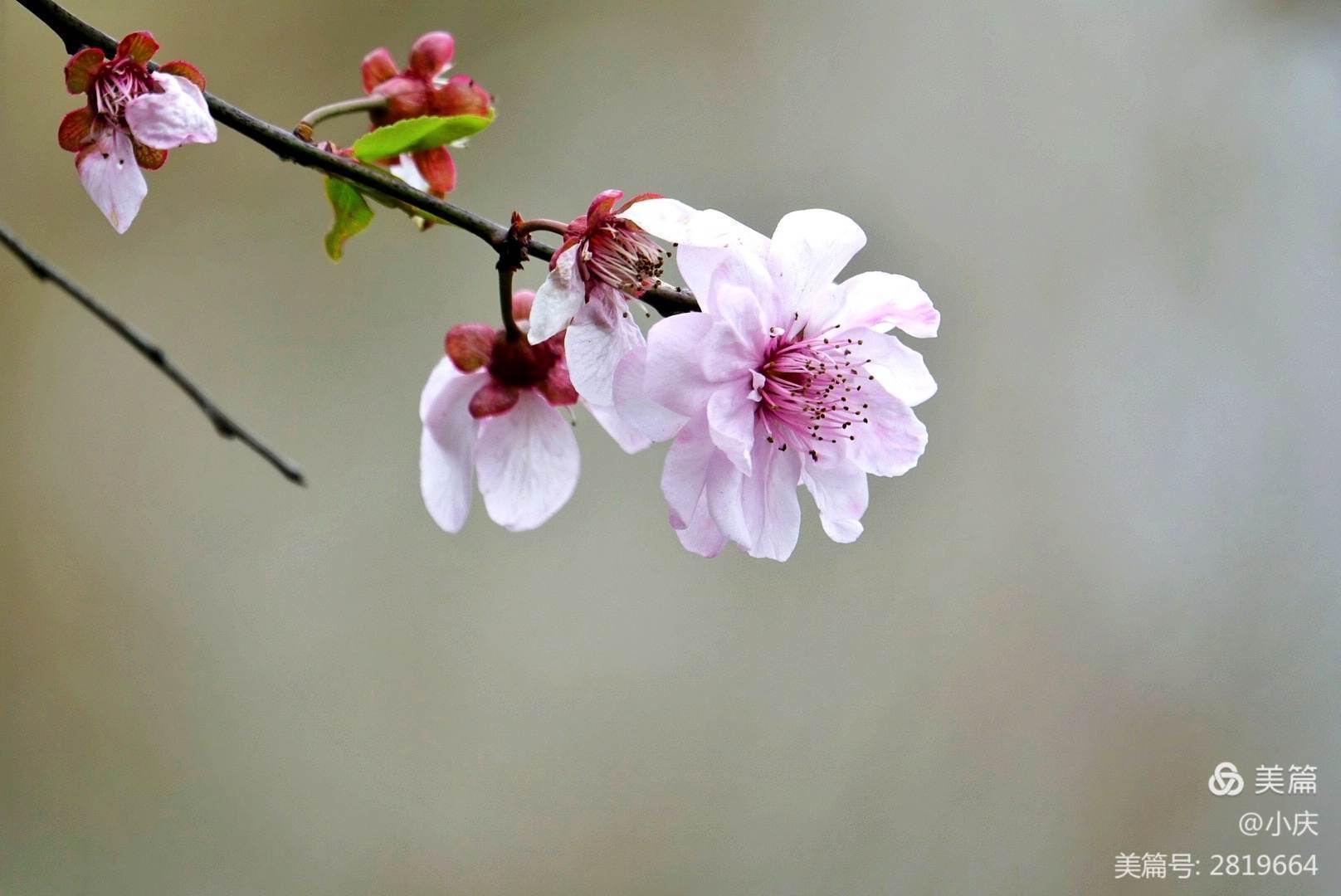 人生若顺境,愿你内敛锋芒;人生若逆境,愿你淡然处之