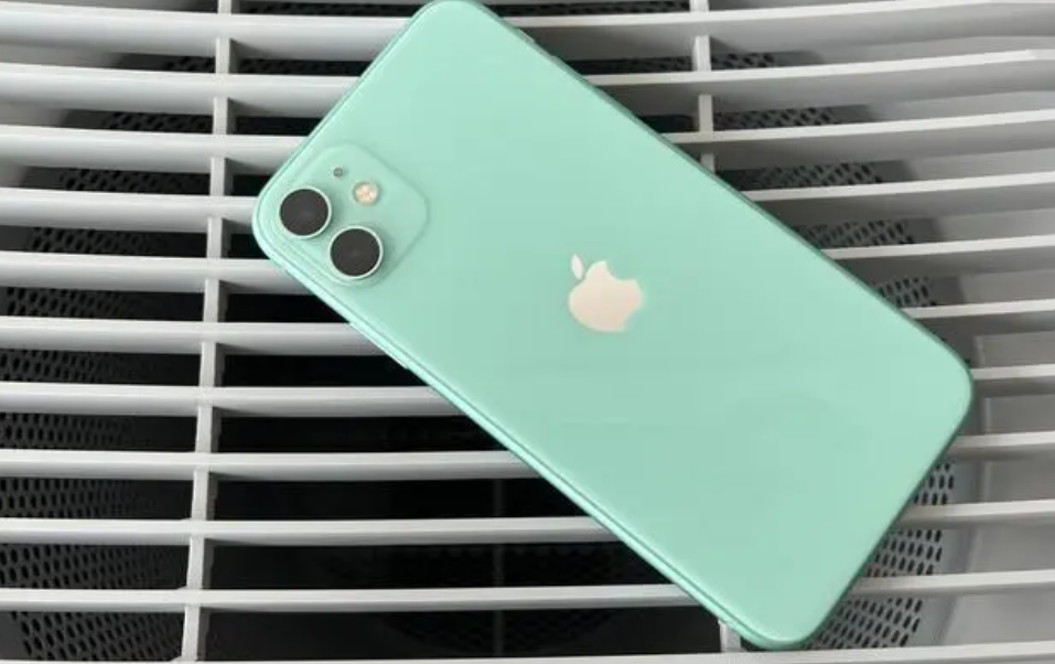 iphone11长多少厘米（iphone11长多少厘米宽多少厘米）-第2张图片-昕阳网