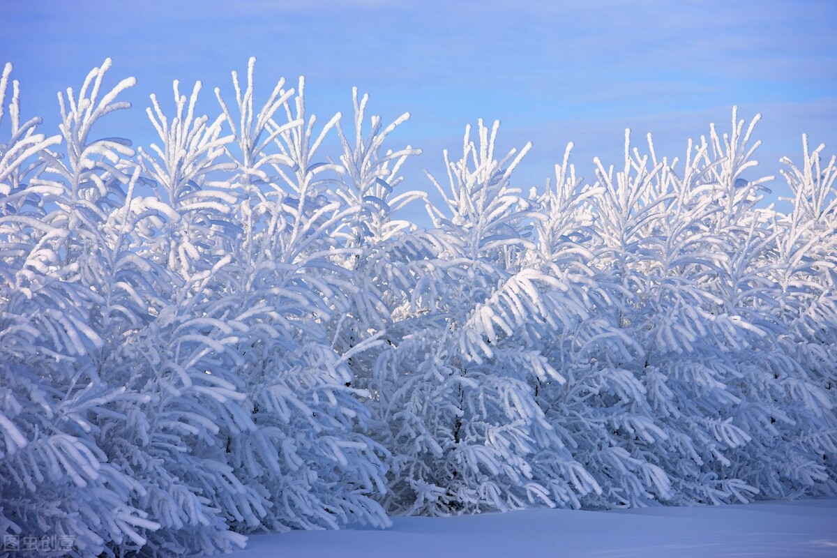 十首描绘雪景唯美的诗词，展现冬日纯净浪漫