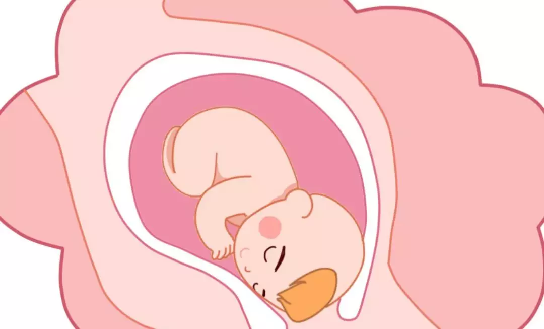 子宫肌瘤能不能怀孕