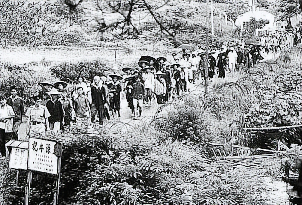 Gangue de Hong Kong, Nanitepédia