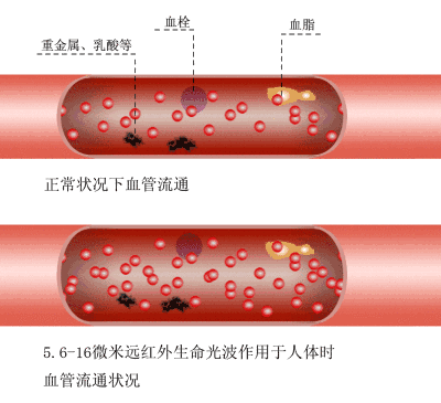 智米智能GR-H新型取暖器體驗：石墨烯加持，放在家里的隱形太陽