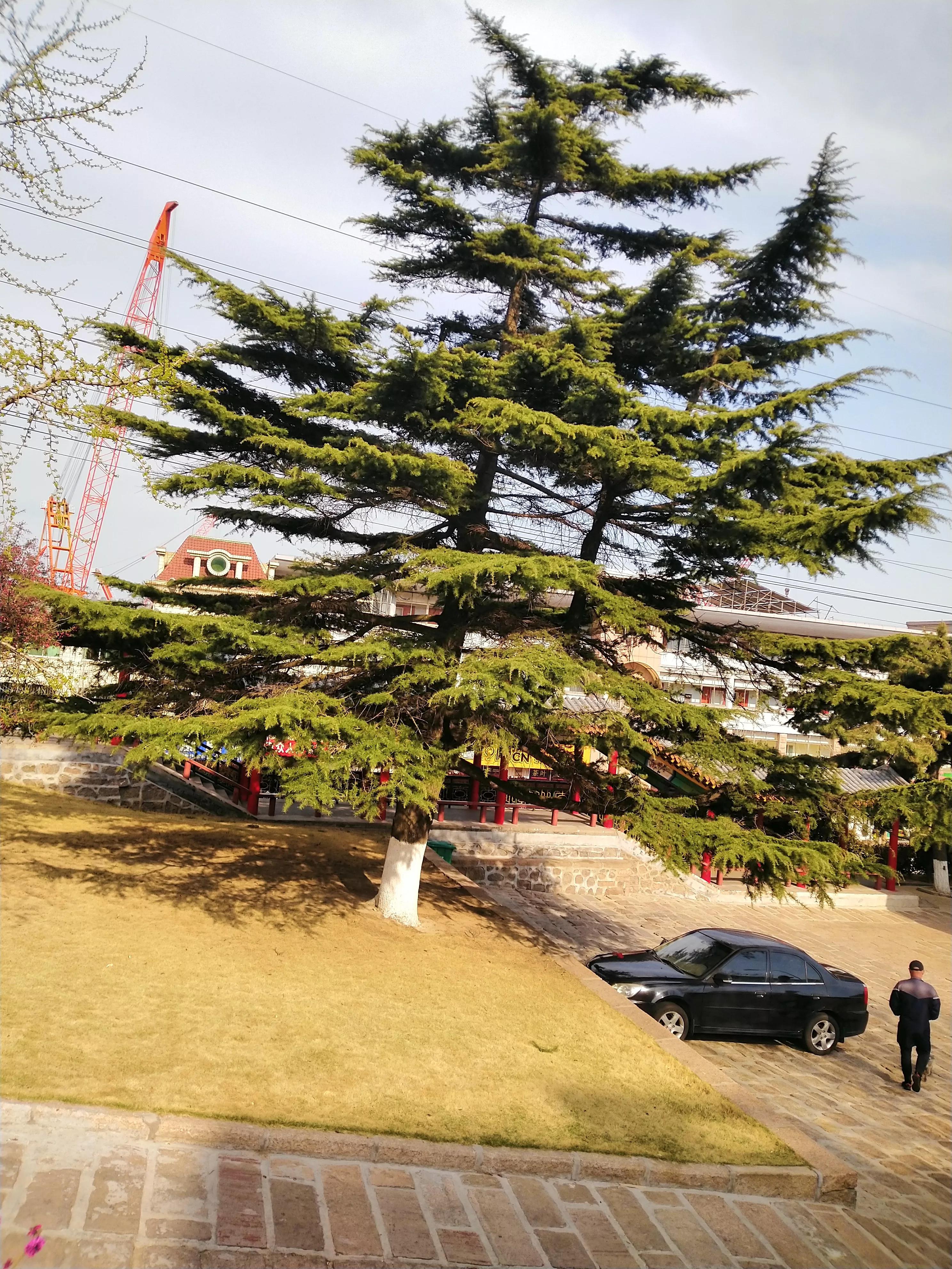 谈律师代理费与代理合同及代理活动