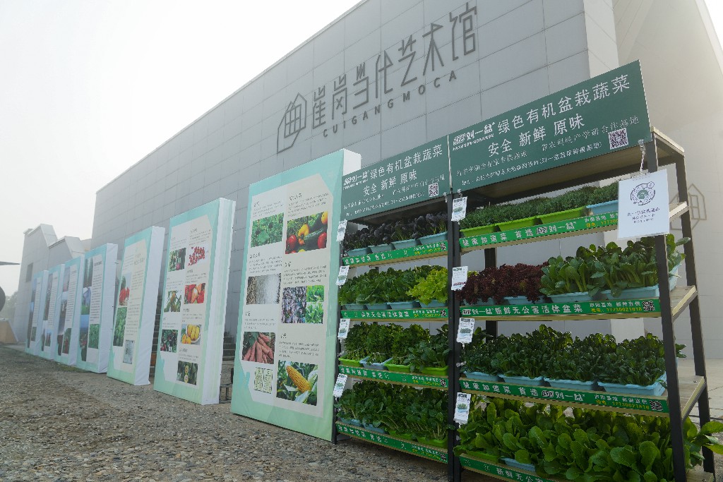 Ʒ����ʮ�� ����߳�ȥ������ʮ����ˮԴ��ũ��Ʒ�ƽ��ɹ��ٰ�