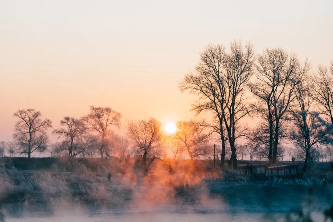 99句宝藏唐诗,全是千古名句,写作文时引用,立马高大上