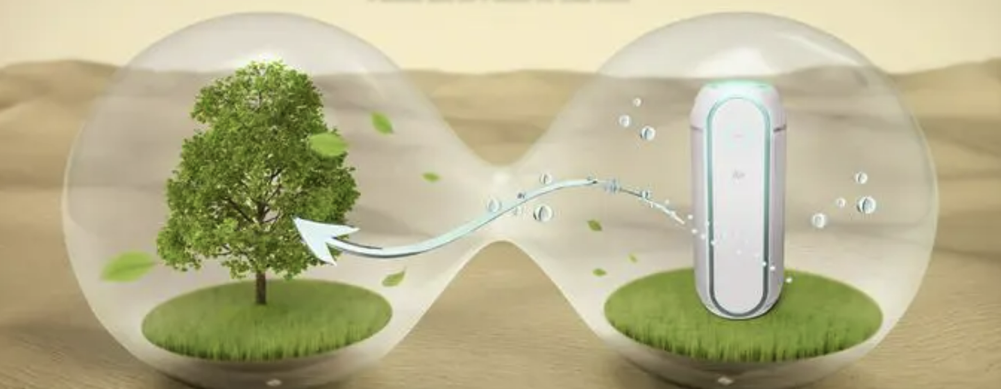 新家装修，这种绿植遇水就活，十分便宜，不用精心照料