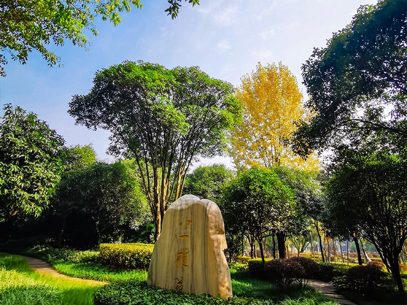 毕业生进入公安机关、人民检察院！西南政法“曝光”又一硬核专业！